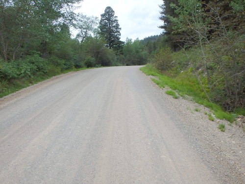 GDMBR: Southbound on Grizzly Gulch Road.